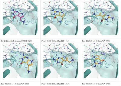 Thermal titration molecular dynamics (TTMD): shedding light on the stability of RNA-small molecule complexes